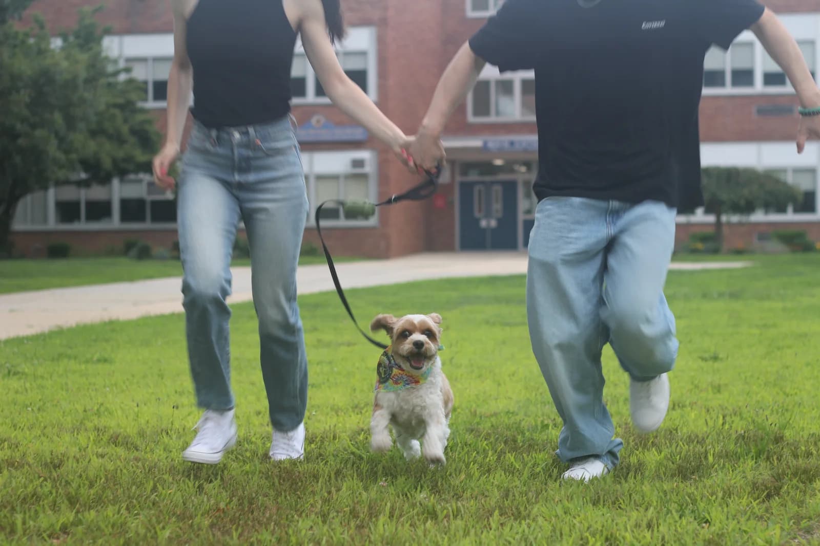 The couple together in a wide outdoor photograph
